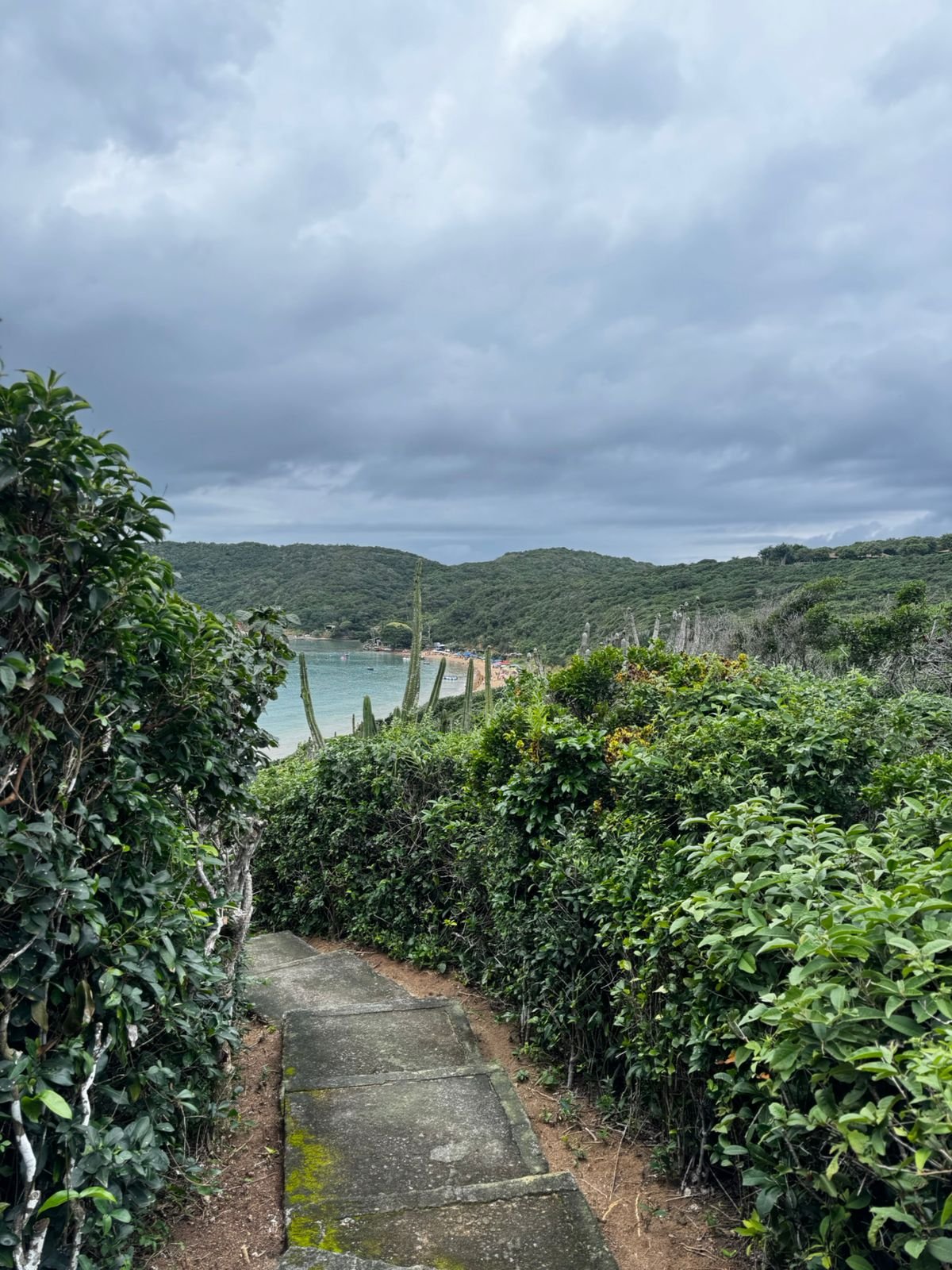 Trilha particular descendo para a Praia da Tartaruga